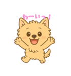 ノーリッチテリアくん（個別スタンプ：17）
