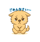 ノーリッチテリアくん（個別スタンプ：19）