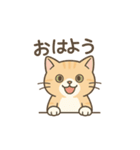 しっぽのおしゃべり（個別スタンプ：2）