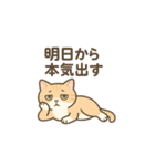 しっぽのおしゃべり（個別スタンプ：14）