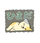 ネコ イェーーーイ‼︎（個別スタンプ：17）