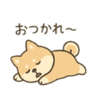 柴犬のきもちスタンプ（個別スタンプ：1）