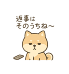 柴犬のきもちスタンプ（個別スタンプ：2）