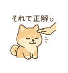 柴犬のきもちスタンプ（個別スタンプ：4）
