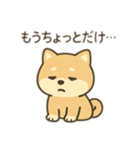 柴犬のきもちスタンプ（個別スタンプ：6）