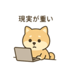 柴犬のきもちスタンプ（個別スタンプ：7）
