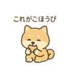 柴犬のきもちスタンプ（個別スタンプ：8）