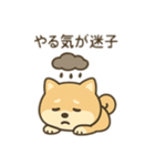 柴犬のきもちスタンプ（個別スタンプ：9）