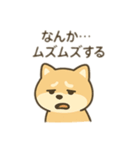 柴犬のきもちスタンプ（個別スタンプ：10）