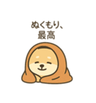 柴犬のきもちスタンプ（個別スタンプ：11）