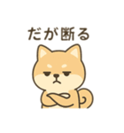 柴犬のきもちスタンプ（個別スタンプ：13）