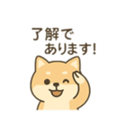柴犬のきもちスタンプ（個別スタンプ：16）
