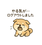 柴犬のきもちスタンプ（個別スタンプ：19）
