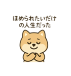 柴犬のきもちスタンプ（個別スタンプ：20）