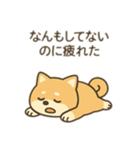 柴犬のきもちスタンプ（個別スタンプ：21）