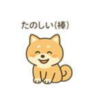 柴犬のきもちスタンプ（個別スタンプ：23）