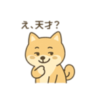 柴犬のきもちスタンプ（個別スタンプ：27）