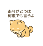 柴犬のきもちスタンプ（個別スタンプ：28）