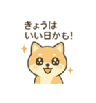 柴犬のきもちスタンプ（個別スタンプ：29）