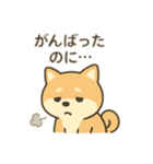 柴犬のきもちスタンプ（個別スタンプ：30）