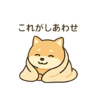 柴犬のきもちスタンプ（個別スタンプ：32）