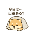 柴犬のきもちスタンプ（個別スタンプ：33）