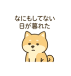 柴犬のきもちスタンプ（個別スタンプ：37）