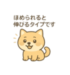 柴犬のきもちスタンプ（個別スタンプ：40）