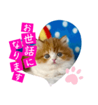 ねこまーち もちもちモコモコプリンセス（個別スタンプ：2）