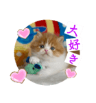 ねこまーち もちもちモコモコプリンセス（個別スタンプ：4）