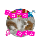 ねこまーち もちもちモコモコプリンセス（個別スタンプ：7）