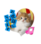 ねこまーち もちもちふわふわプリンセス（個別スタンプ：2）