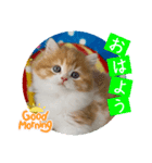 ねこまーち もちもちふわふわプリンセス（個別スタンプ：4）