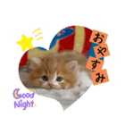 ねこまーち もちもちふわふわプリンセス（個別スタンプ：5）