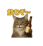 週末だ！華金スタンプ！サイベリアン猫（個別スタンプ：12）