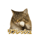 週末だ！華金スタンプ！サイベリアン猫（個別スタンプ：14）