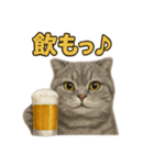 週末だ！スコティッシュホールドの華金（個別スタンプ：3）