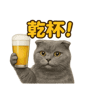 週末だ！スコティッシュホールドの華金（個別スタンプ：6）