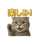週末だ！スコティッシュホールドの華金（個別スタンプ：10）