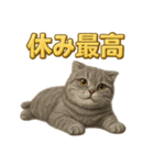 週末だ！スコティッシュホールドの華金（個別スタンプ：11）