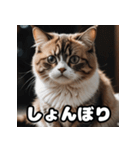 ころころマンチカンの日常スタンプ（個別スタンプ：3）