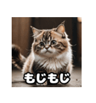 ころころマンチカンの日常スタンプ（個別スタンプ：4）