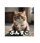 ころころマンチカンの日常スタンプ（個別スタンプ：6）