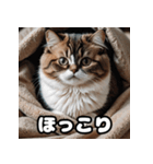 ころころマンチカンの日常スタンプ（個別スタンプ：7）