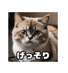 ころころマンチカンの日常スタンプ（個別スタンプ：10）