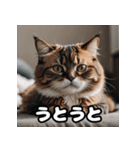 ころころマンチカンの日常スタンプ（個別スタンプ：13）