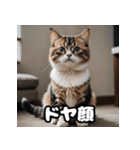 ころころマンチカンの日常スタンプ（個別スタンプ：16）