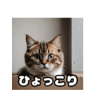 ころころマンチカンの日常スタンプ（個別スタンプ：18）