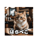ころころマンチカンの日常スタンプ（個別スタンプ：23）