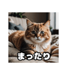 ころころマンチカンの日常スタンプ（個別スタンプ：24）
